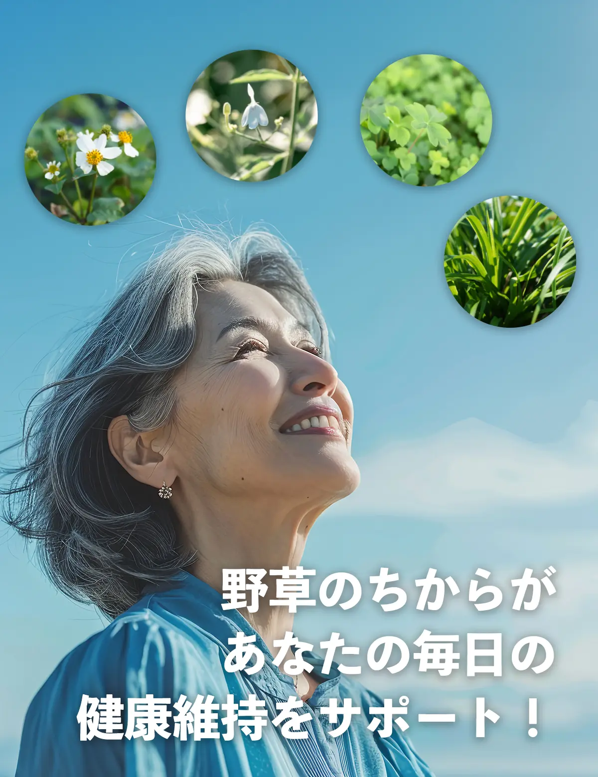 野草のちからがあなたの毎日の健康維持をサポート！